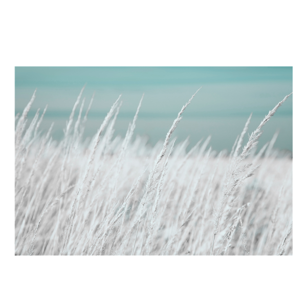 Toile de plage