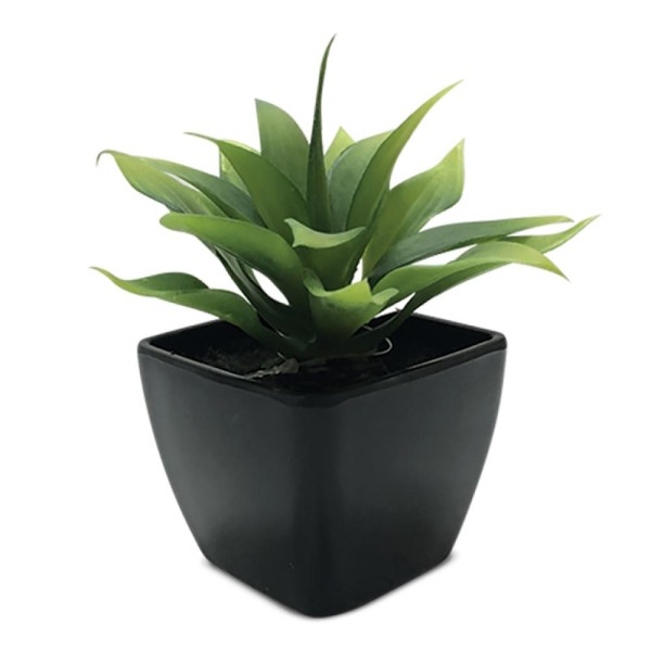 Succulent Melamine Pot | Black - Magasins Hart | Hart Stores