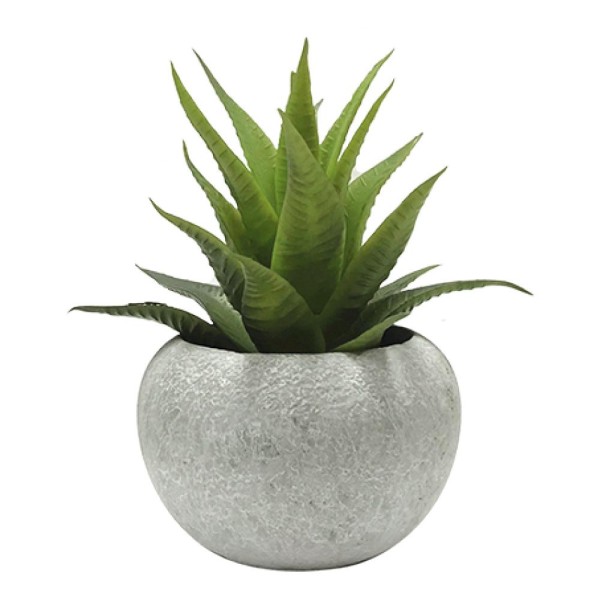 Succulent Pot | Grey - Magasins Hart | Hart Stores