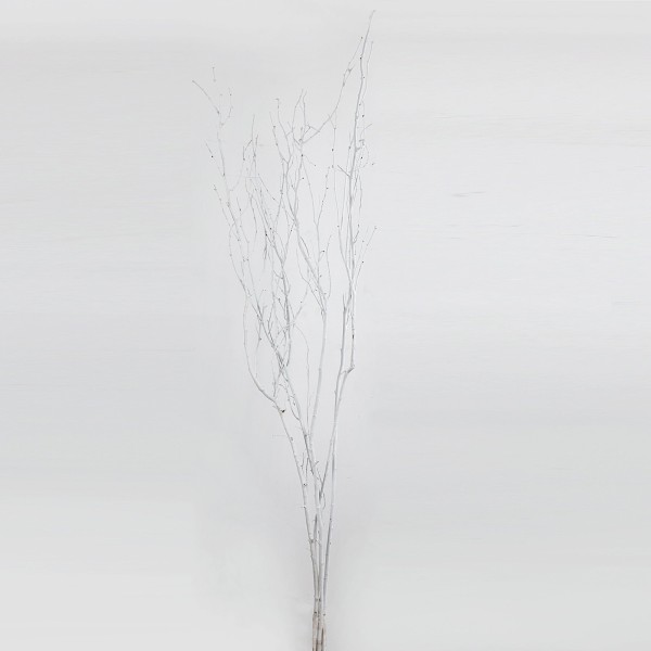 Decorative Wood Branches Bundle