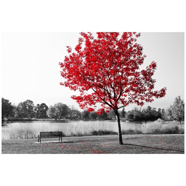 Canvas - Park Bench with Red Trees - Magasins Hart | Hart Stores