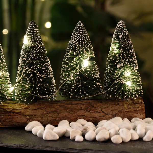 Green Pine Trees with Wooden Base