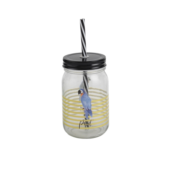 Tropical Birds Drinking Jar With Straw