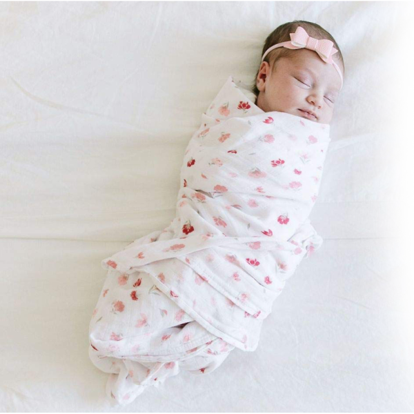 Receiving 1pk Blankets Muslin