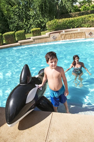 Bestway - Jumbo Whale Ride-On