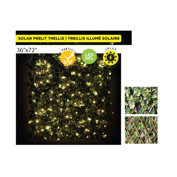 36x72 Extendable Solar Lattice Of Grape Ivy Leaves And 100 L
