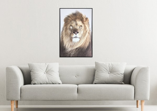 Canvas Lion Face Framed 75x115