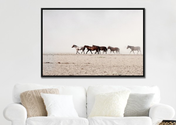 Horses Framed Canvas 75*115