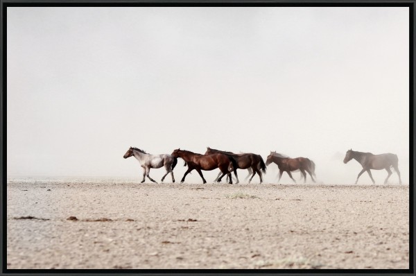 Horses Framed Canvas 75*115