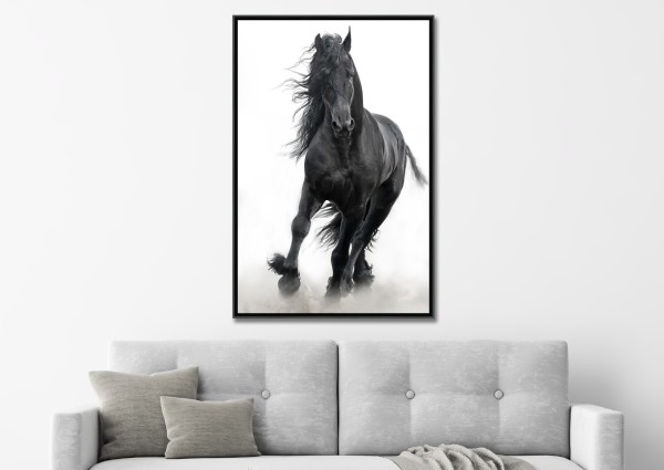 Black Stallion Framed Canvas 75*115