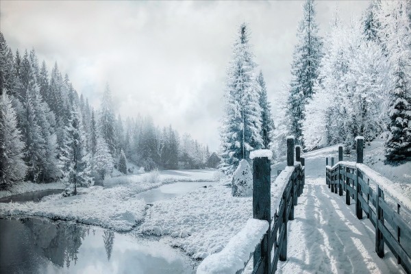 Winter Wonderland Canvas-asst 1-60*90 Asst