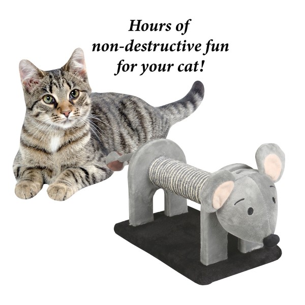 Paws & Whiskers - Cat Scratching Post