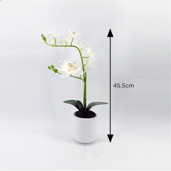 Orchidée blanche dans un pot blanc (33 x 17,5 x 45,5 cm)