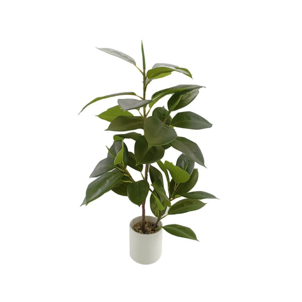 Green Banyan Leaf White Ceramic Pot