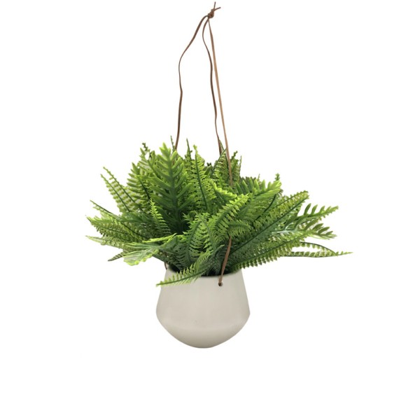 Fern White Ceramic Pot W/rope