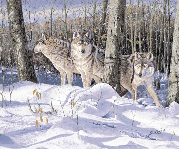 Jeté en vison synthétique | Animaux