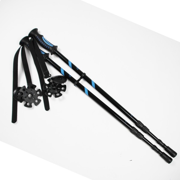 Ensemble de raquettes à neige pour adultes (bleu 8 x 26 po) et bâton de trekking dans un sac