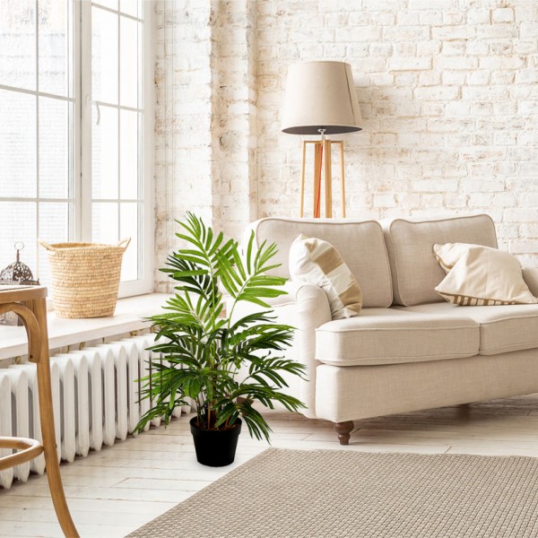 Areca Palm Tree 80cm-18cm Pot