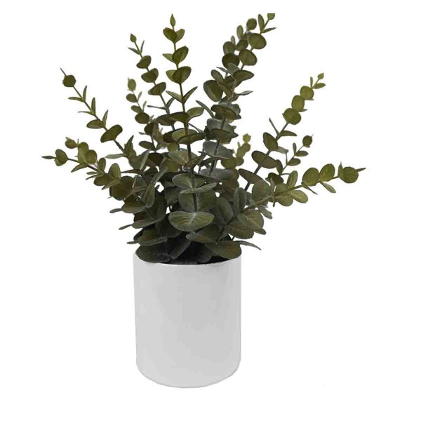 Plante d'Eucalyptus Artificiel dans un pot en céramique blanche