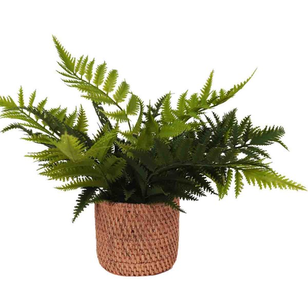 Fougère Artificielle Pot Ciment Marron