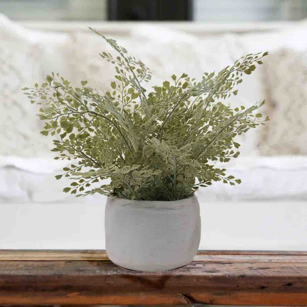 Artificial Fern in White Cement Pot