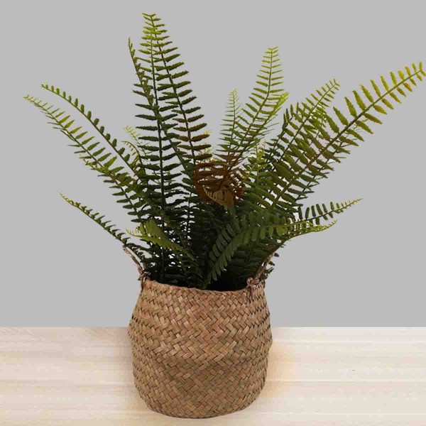 Artificial Fern in Wicker Basket
