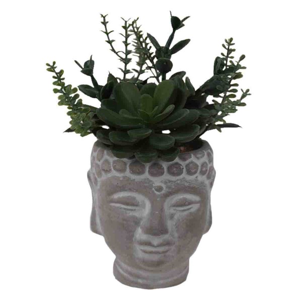 Artificial Succulent Plant in Buddha Head Cement Pot