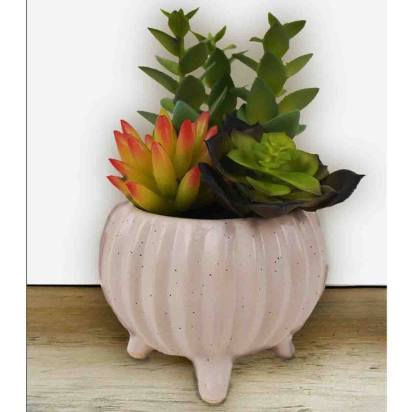 Plantes Succulentes Artificielles dans un Pot à Pieds en Céramique Blanche