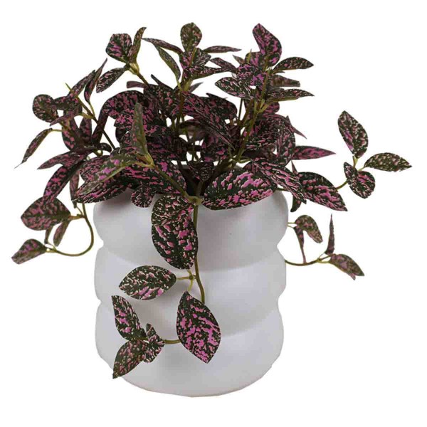Artificial Trailing Plant in White Ceramic Pot