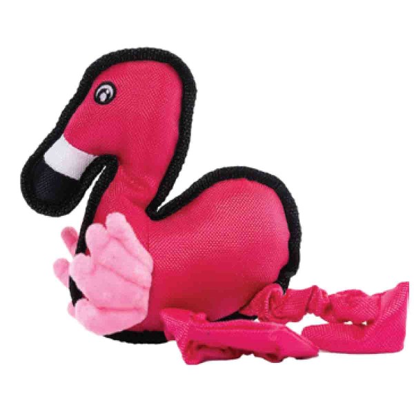 Assorted Pet Toys