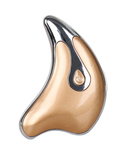 Masseur facial de beauté chauffant or/argent