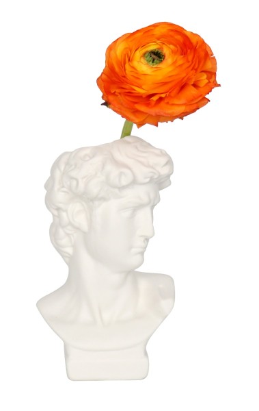 Lauren Taylor - Jardinière à tête David