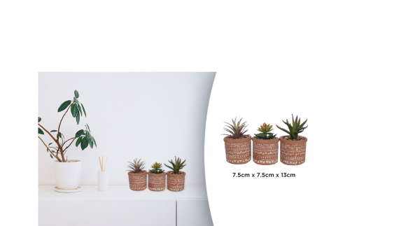 Succulentes Mini pot en céramique aztèque