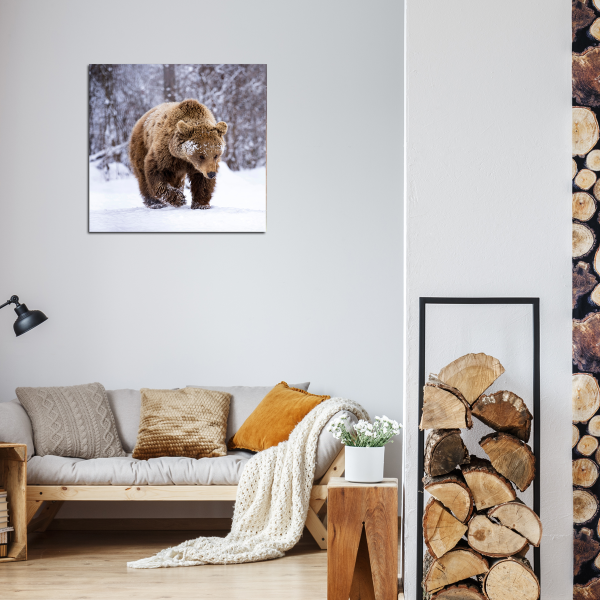 Canvas 45x45 Winter Wildlife