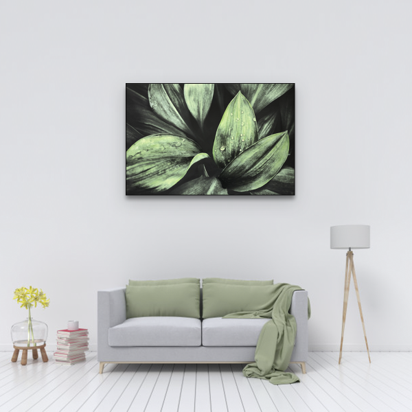 Leaf greenery Canvas
