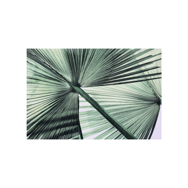 Leaf greenery Canvas