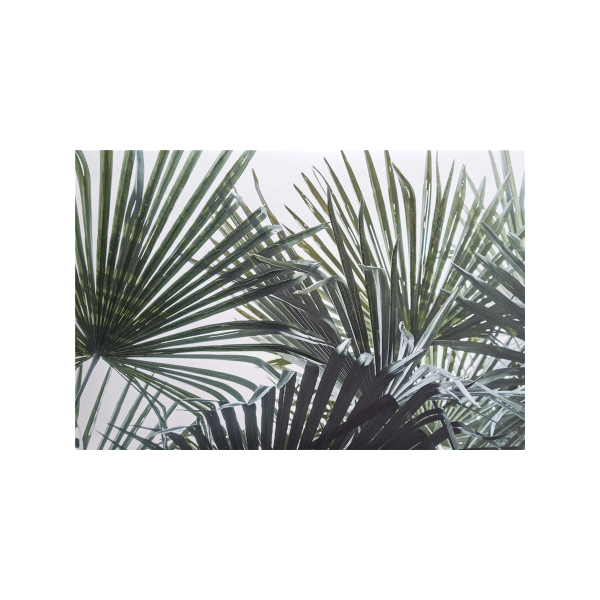 Leaf greenery Canvas