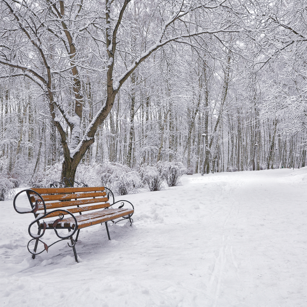 Canvas 45x45 Winter Scene