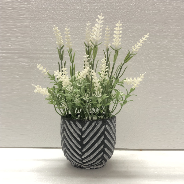 Lavender In Black/grey Cement Pot 16*24