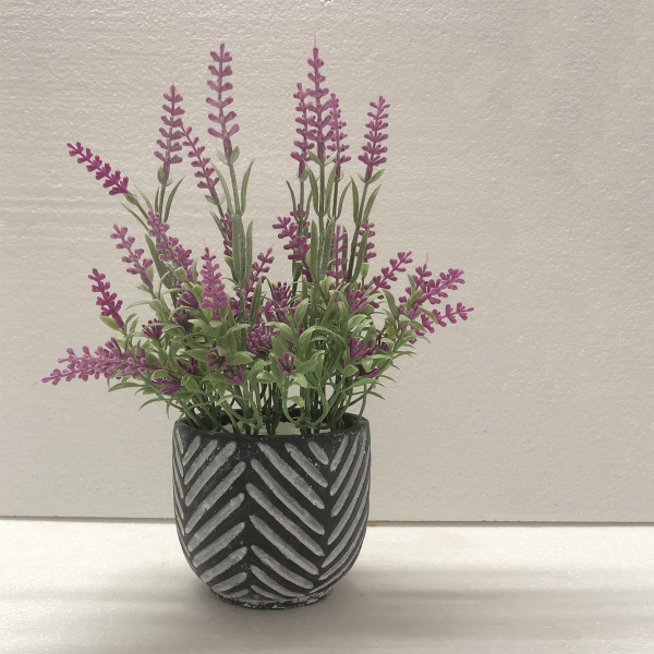 Lavender In Black/grey Cement Pot 16*24