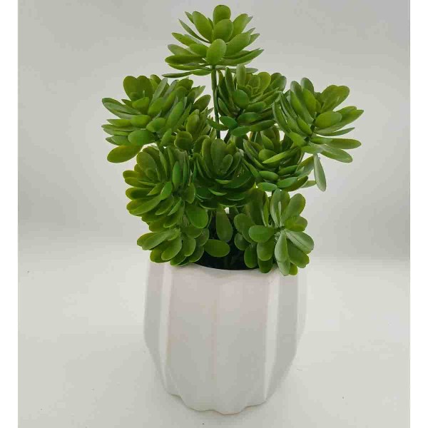 LAURENT TAYLOR - Succulent Ceramic Pot