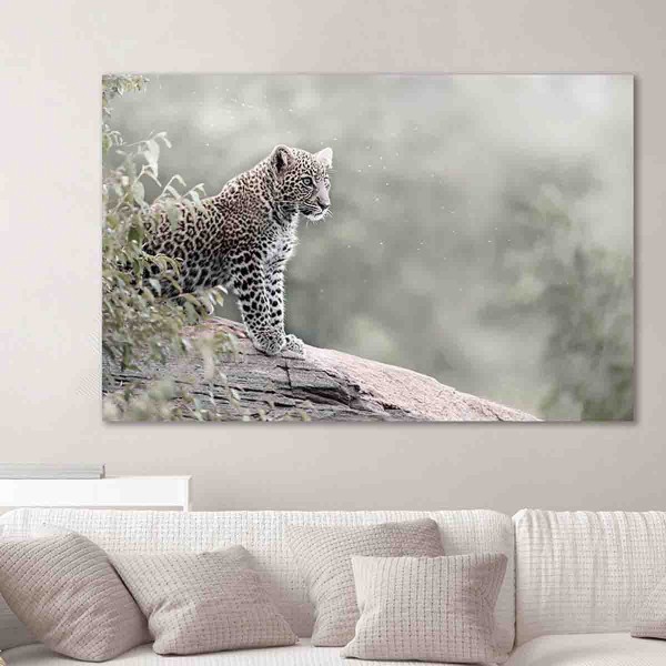 Printed Canvas