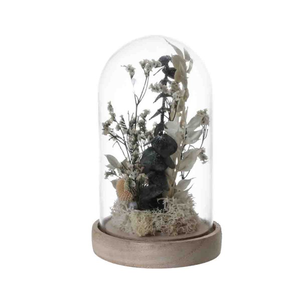 Fleurs séchées en cloche-Lauren Taylor