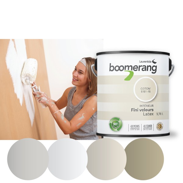 Boomerang 1 Gallon Paint
