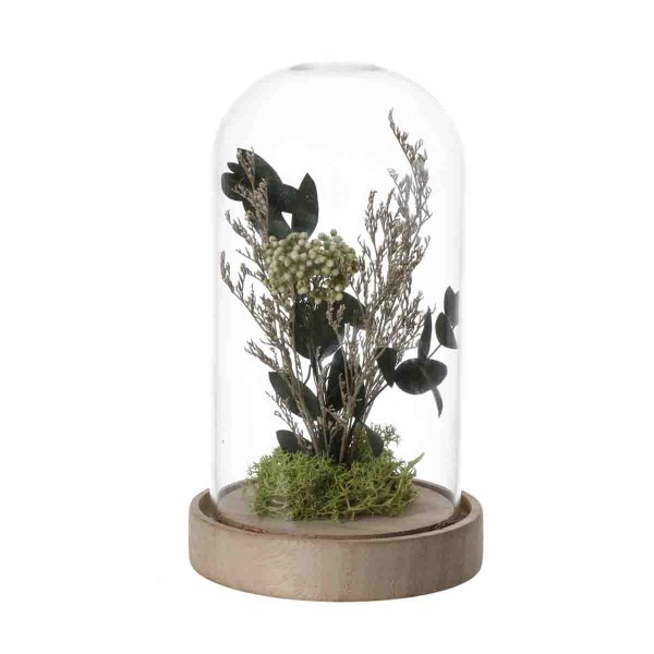Lauren Taylor - Dried Flowers In Cloche
