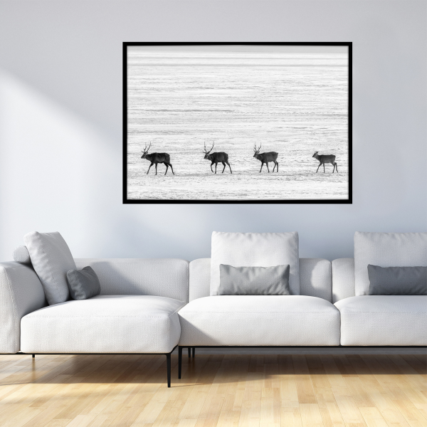 Canvas Framed 75x115