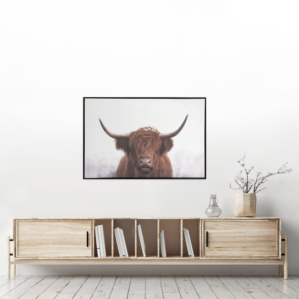 Canvas Highland Cattle Framed 75x115