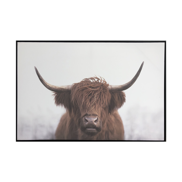 Canvas Highland Cattle Framed 75x115