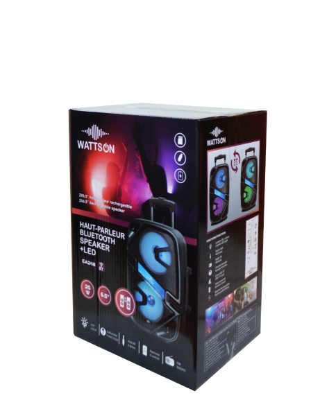 WATTSON- Speaker 2x6.5in 25w BT/FM/SD/AUX/MIC