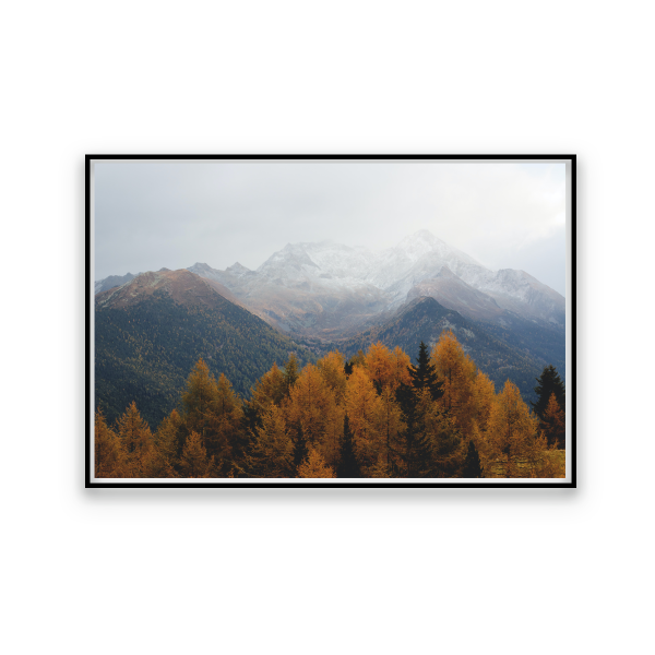 Toile Scénique Automne 60x80
